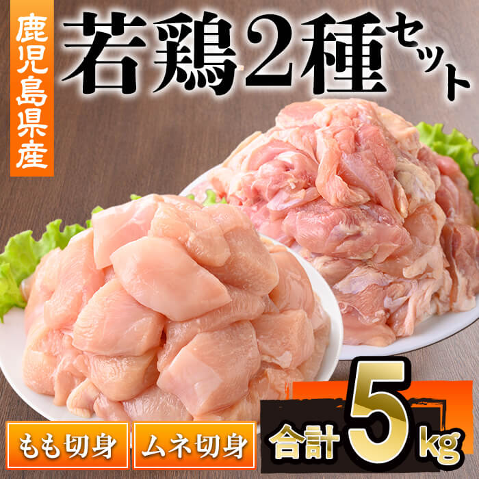 【ふるさと納税】鹿児島県産若鶏もも・ムネセット(合計5kg・各250g×10P) 鹿児島県 若鶏 鶏肉 鶏 肉 もも モモ むね ムネ ムネ切り身 国産 切身 冷凍 鹿児島県産【株式会社羽根】