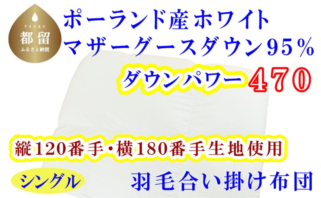羽毛合掛布団縦１２０番手横１８０番手ポーランド産マザーグース95%シングルダウンパワー470 シングルCK313