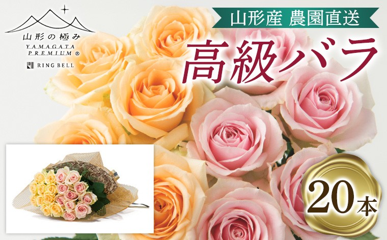 
                  山形産農園直送高級バラ 20本 FZ26-743
                