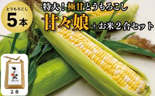 とうもろこし 米 セット 甘々娘 5本 約 2kg コメ 2合 お米 アキサカリ ごはん 先行予約 スマイルセット トウモロコシ コーン スイートコーン 甘い とうもろこしご飯 レシピ付き 期間限定 夏 旬 野菜 鍋 炒め物 煮物 スープ 弁当 惣菜 おかず 健康 新鮮 国産 送料無料 吉野川市 徳島県