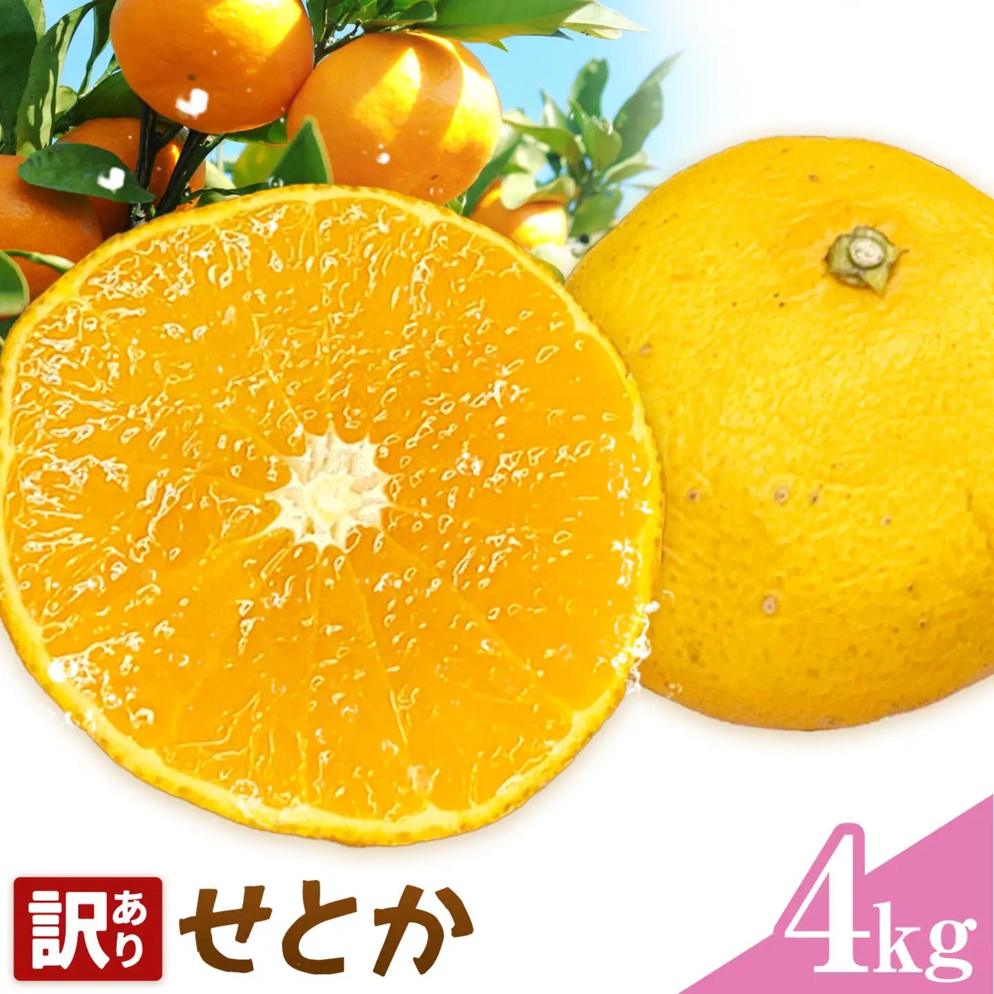 せとか 訳あり 4kg