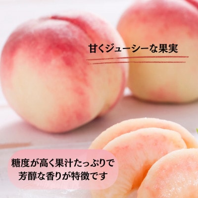 【発送月固定定期便】【2026年先行受付】 旬のフルーツ定期便 桃900g・シャイン500g全2回【配送不可地域：離島・沖縄県】