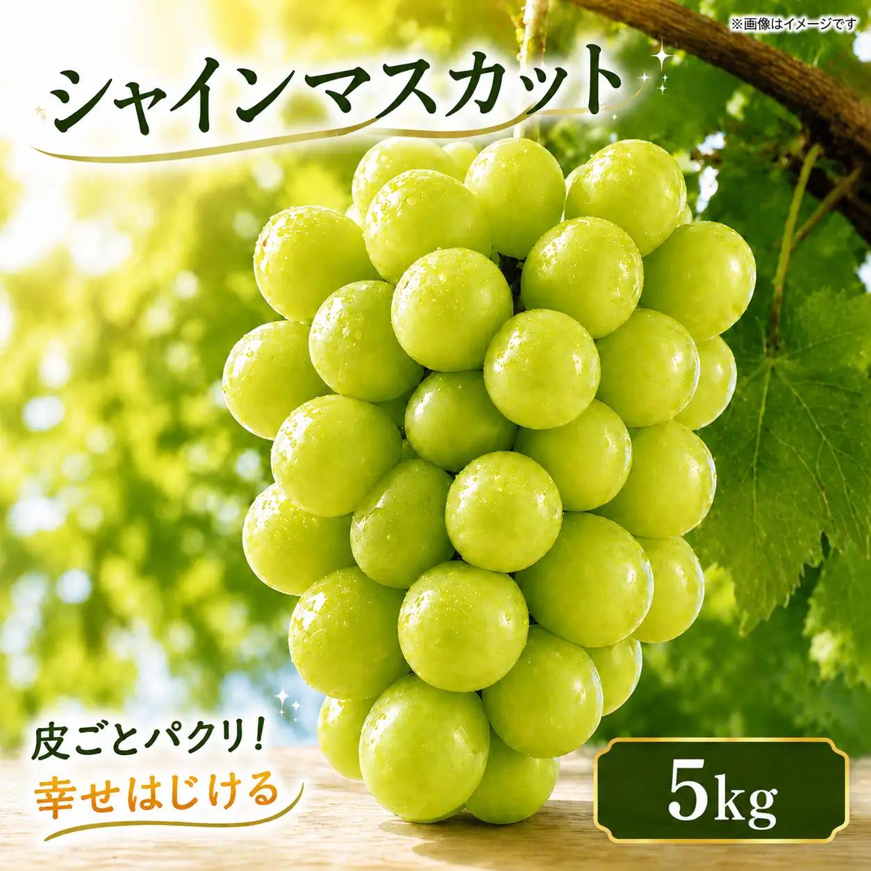 シャインマスカット 5kg シャインマスカット