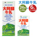 【ふるさと納税】大阿蘇牛乳 250ml×24本/1L×6本 選べる内容量 牛乳 成分無調整牛乳 生乳100%使用 乳飲料 乳性飲料 らくのうマザーズ ドリンク 飲み物 飲料 セット 紙パック 常温保存可能 ロングライフ 送料無料