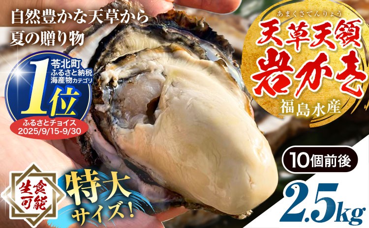 
                  天領岩牡蠣 約2.5kg 福島水産《2026年4月上旬-7月末頃出荷予定》熊本県 苓北町 牡蠣 かき カキ 岩カキ 岩ガキ 貝 BIG ビッグ 生食 特大 バーベキュー 夏天草 天領 苓北 熊本 旬 シーズン 送料無料【配送不可地域あり】
                
