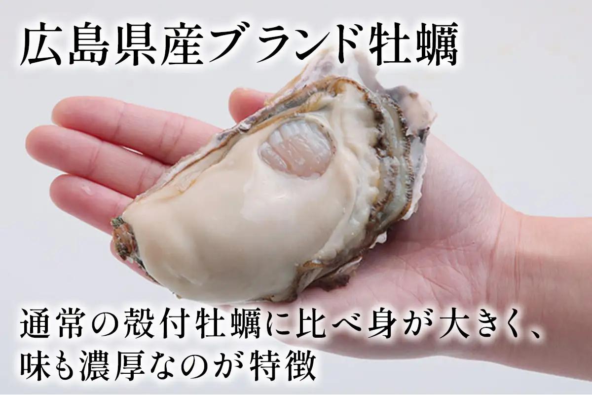 株式会社 アミスイ 広島県産ブランド牡蠣　オレの牡蠣 かき小町（殻付き）6個 [2627]