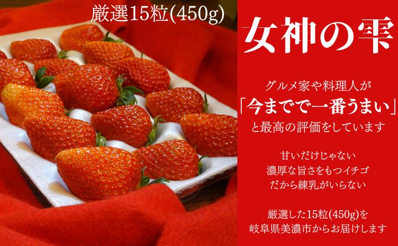 【伊勢神宮おはらい町で3時間で完売】グルメ家が「今までで1番旨い」とうなったイチゴ【女神の雫】 2026年1月 2月 3月 4月 450g 岐阜県 美濃市 じゅん農産 2 苺