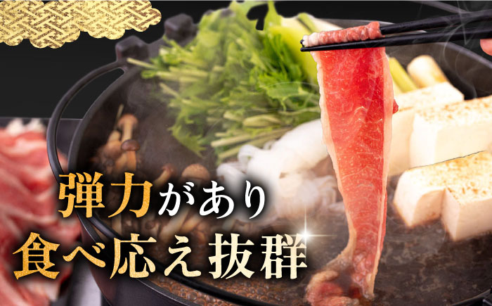 【全3回定期便】壱岐牛 ブリスケ うす切り 500g《壱岐市》【中津留】 すき焼き しゃぶしゃぶ 牛肉 [JFS066] 48000 48000円