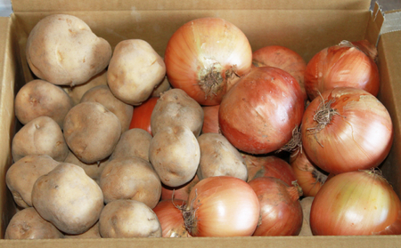 【2026年秋冬発送】北海道 富良野産 じゃがいも(男爵)＆玉ねぎ セット10kg 野菜 いも