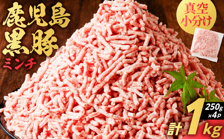 鹿児島県産 黒豚 ミンチ 1kg K025-013_02 豚 豚肉 ブタ ぶた 肉 お肉 豚ミンチ 黒豚ミンチ かごしま黒豚 真空 小分け パック 真空パック 便利 使いやすい 鮮度 餃子 そぼろ丼 メンチカツ ハンバーグ 黒豚ハンバーグ コロッケ 酢豚 美味しい おいしい 贅沢 おかず 夕食 昼食 朝食 お弁当 ジューシー ミヤタ ふるさと納税 鹿児島 おすすめ ランキング プレゼント ギフト