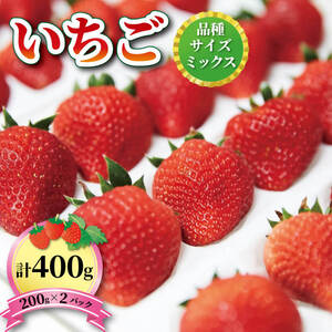 いちご 2種 400g (200g×2) 1?5月お届け 苺 果物 くだもの フルーツ おやつ ストロベリー strawberry 岩手県 大船渡市