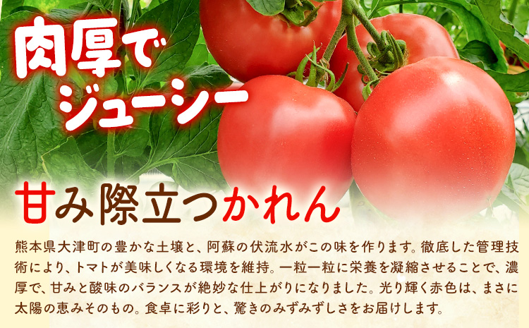 【大津アグリラボ】大玉トマト かれん 約2kg 株式会社中九州クボタ《10月上旬-6月下旬頃出荷》熊本県 大津町 トマト 大玉 野菜---oz_nkb_2_2kg---