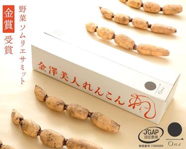 レンコン 5kg 金澤美人れんこん 蓮根 野菜 根菜