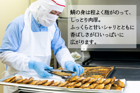 【着日指定可】焼き鯖すしセット　8貫入り×2本 / サバ さば寿司 鮨 福井 小浜 鯖 【配送不可地域：北海道、沖縄、離島】 小浜市 / 若廣  [BFAM009]