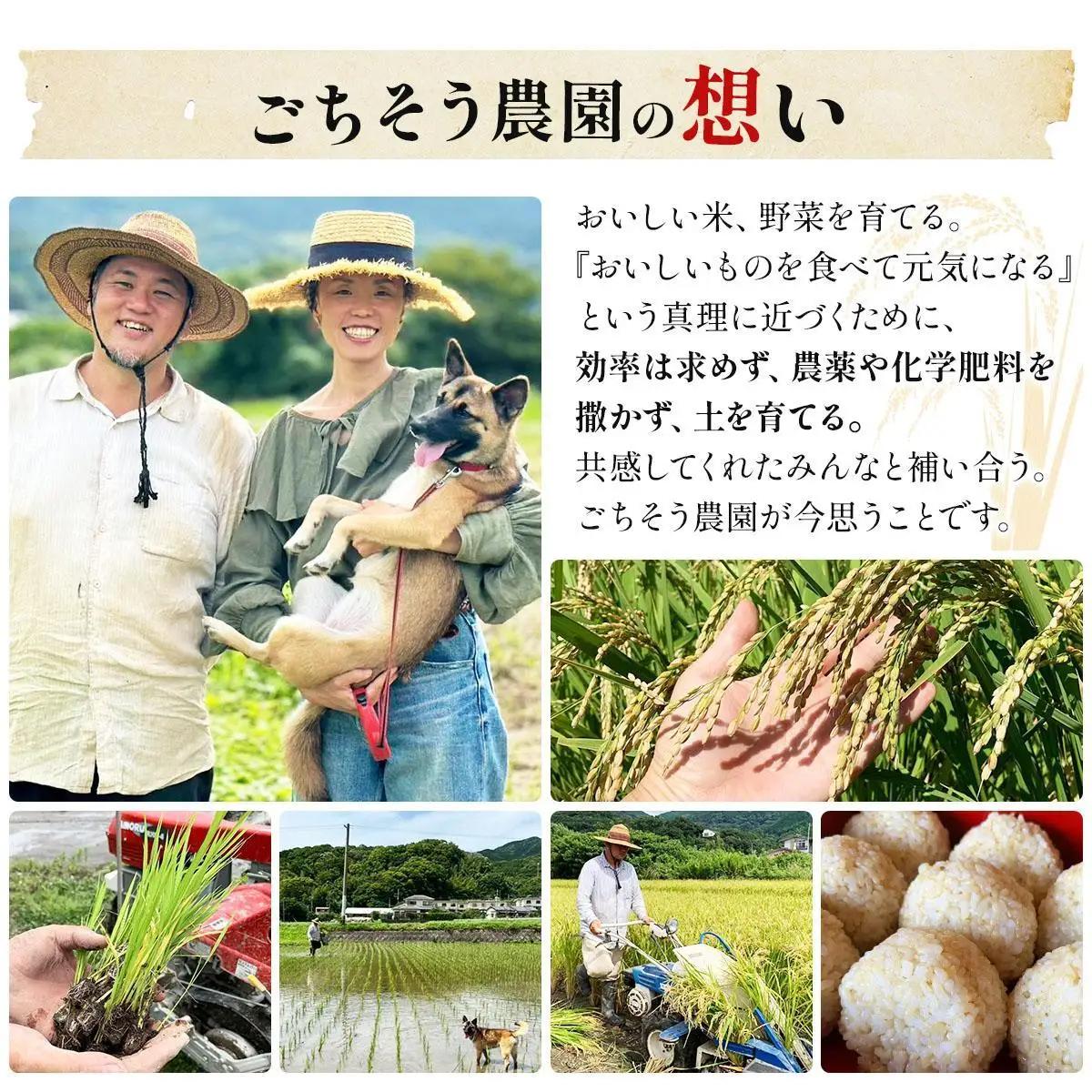 農薬・除草剤・肥料不使用 自然栽培米 令和7年度産ヒノヒカリ 玄米 3kg