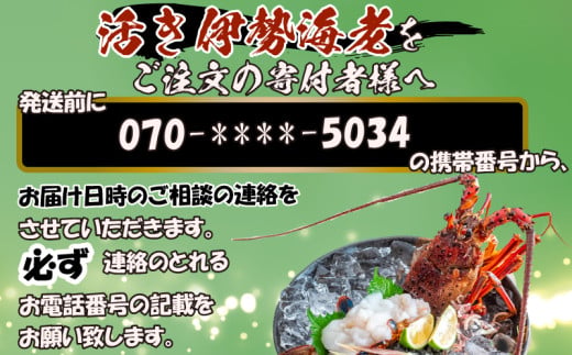 【伊勢海老】 活き伊勢海老1.6kg以上 1.6kg以上