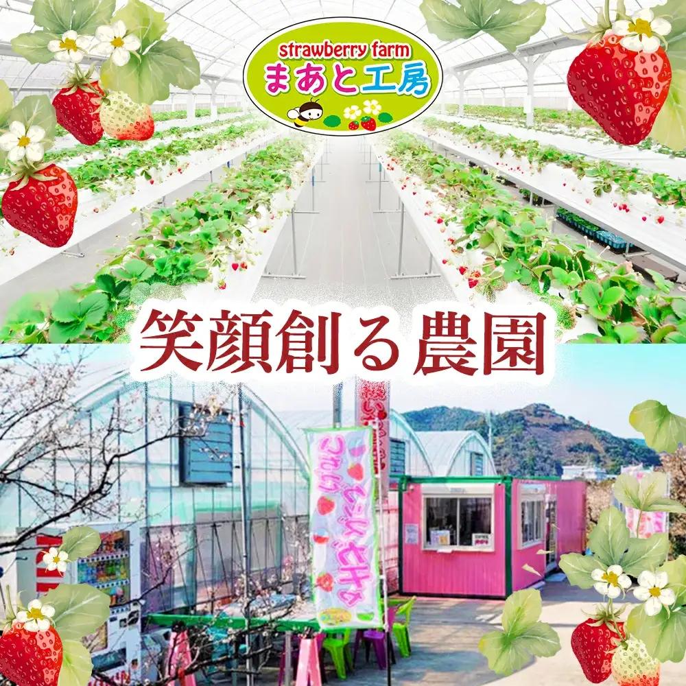 【体験】 【開催期間 2027年1月1日～5月7日】 いちご狩り体験チケット ( 1名様分) 【maato001B】