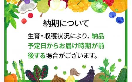 【令和7年産】〈白米〉 雪若丸 5kg ＜1回のお届け＞  山形県産 精米 【2025年11月上旬発送開始予定】