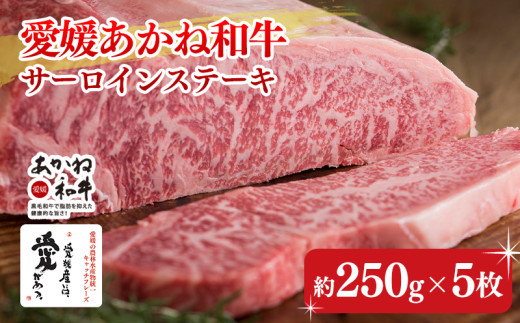 【昭和50年創業】愛媛あかね和牛サーロインステーキ（約250ｇ×5枚） | 国産 和牛 牛肉 ブランド牛 ステーキ 焼肉 冷蔵 愛媛県 松前町 BBQ  バーベキュー