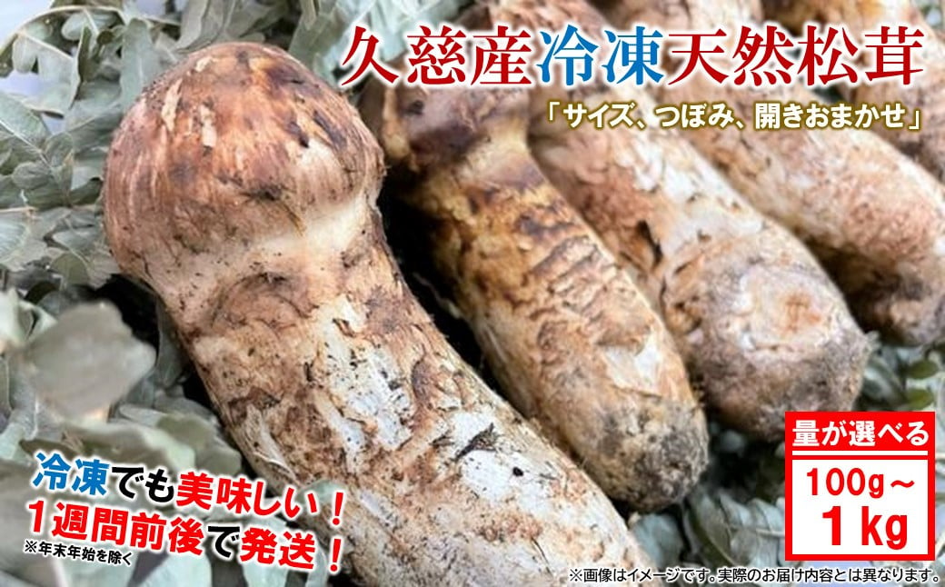 
            「内容量が選べる！」久慈産【冷凍】天然松茸「サイズ、つぼみ、開きおまかせ」100g～１kg
          