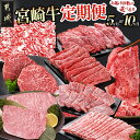 宮崎牛定期便（5ヶ月） - ブランド牛肉 国産黒毛和牛 赤身 バラ 切り落とし サーロインステーキ 焼き肉 様々な宮崎牛の部位を5ヶ月間毎月お届け 送料無料 T60-0102【宮崎県都城市は令和2年度ふるさと納税日本一！】