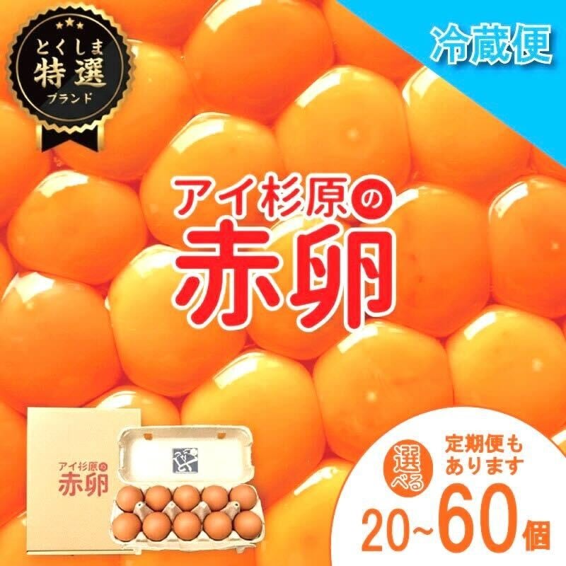 
                  【10人中9人がリピートしてしまう生卵】 アイ杉原 赤卵 冷蔵 サイズ 20個 ～ 60個（定期便も）（割れ保証含む）国産 徳島県産 鶏卵 【TSPROSPER】
                