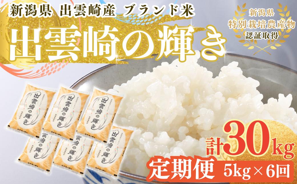 新米 特別栽培米 コシヒカリ 「出雲崎の輝き」 定期便 5kg 6か月 新潟県産 出雲崎町産 令和6年産 白米 精米 お米 ブランド米 合計30kg