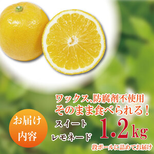 【2025年10月順次発送】 スイートレモネード 1.2kg (10～12個)  レモン れもん 檸檬 柑橘 フルーツ 果物 完熟 国産 新鮮 果汁 レモンサワー お酒 ハイボール レモネード ジュー