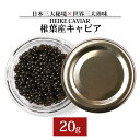 【訳あり】HEIKE CAVIAR 20g 【宮崎県 椎葉村】 チョウザメ 【世界三大珍味×日本三大秘境】