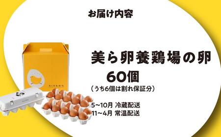 卵の黄身が掴めるほどの新鮮さ 美ら卵養鶏場の卵 60個【順次配送】