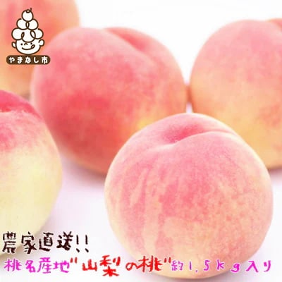 農家直送 桃名産地 山梨の桃 秀品 約1.5kg ふるさと納税【配送不可地域：離島・沖縄県】