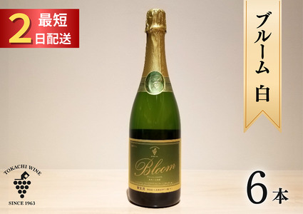 十勝ワイン ブルーム白6本 北海道スパークリング 瓶内二次発酵 スパークリングワイン 辛口 申し込みから最短2日で発送