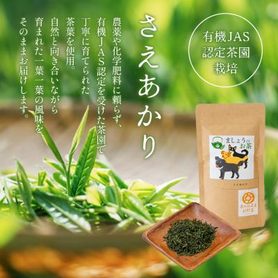 ふるさと納税 南さつま市 【鹿児島県産緑茶】ましょうのお茶「さえあかり」「さえあかり×在来茶」4本セット 計200g |  | 01