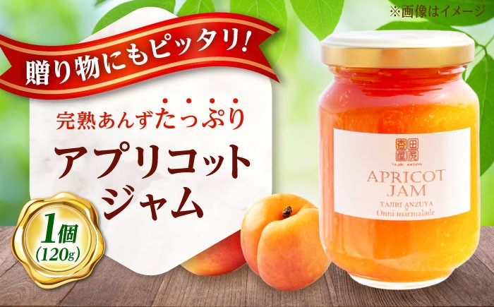 
            ジャム 田尻あんずのアプリコットジャム 120g 1個入り おすすめ 人気 ランキング 国産 手作り 濃厚 甘さ控えめ パン トースト ヨーグルト クラッカー スコーン アイスクリーム デザート スイーツ 菓子作り 朝食 おやつ アレンジ 瓶詰め 保存食 グルメ お取り寄せ 贈り物 贈答用 ギフト プレゼント おいしい 広島県福山市/田尻杏屋 [BAEK002]
          
