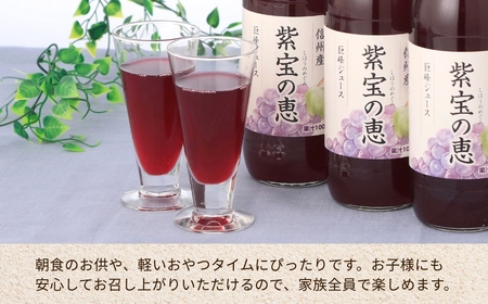 【6か月定期便】ぶどうジュース 「紫宝の恵」 ストレート果汁100％  (1L×4本) | ぶどうジュース