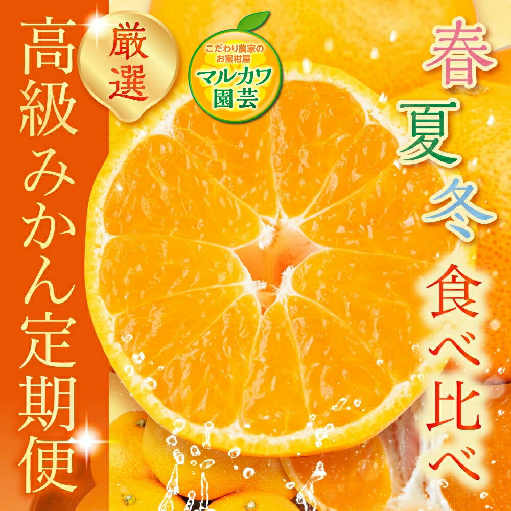 【ふるさと納税】高級みかん 食べ比べ定期便 全3回 春 夏 冬 みかん 食べ比べ 高級 甘い ハウスみかん ミカン 蜜柑 mikan せとか 完熟 セトカ 人気 定期便 フルーツ 果物 旬 くだもの 贈答 蜜ツ丸 蜜ツ星 ハウスミカン 夏みかん 冬みかん 旬の果物 愛知県 豊橋市