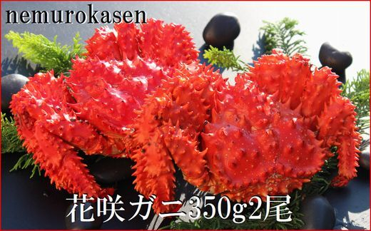 
            B-57028【北海道根室産】花咲ガニ350g×2尾
          