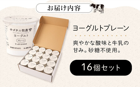 ＼年内発送／ 牧場直送 サゴタニ牧農 ヨーグルト  プレーン　16個セット