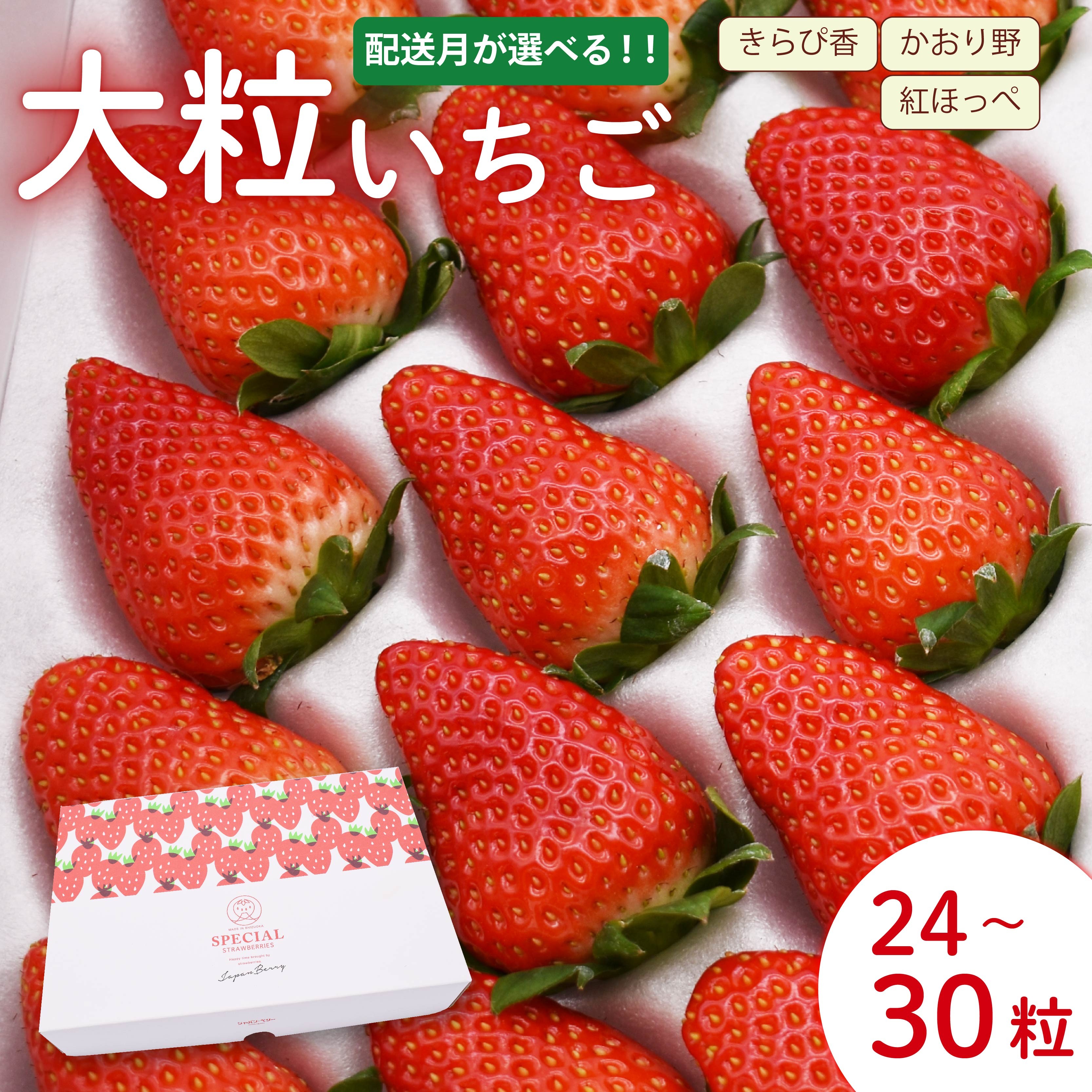
                  いちご 定期便【先行予約】【選べる配送月】大粒 24～30粒 2026年12月～2027年5月発送 苺 イチゴ いちご 旬 産地直送 フレッシュ 紅ほっぺ きらぴ香 かおりの フルーツ 果物 タルト ショートケーキ クリスマス 国産 ジャパン ベリー 静岡県 藤枝市
                