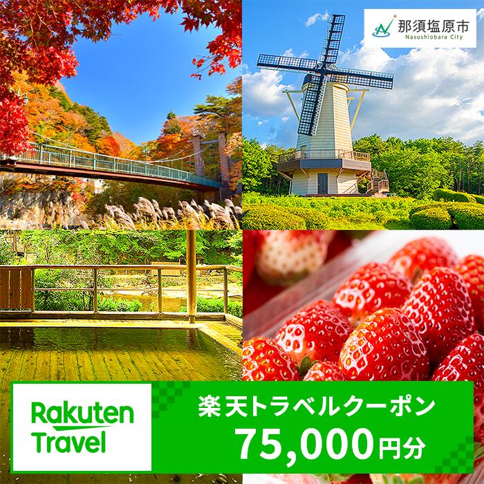 【ふるさと納税】楽天限定 栃木県那須塩原市の対象施設で使える 楽天トラベルクーポン 寄附額250,000円 旅行 宿泊 旅行券 宿泊券 ホテル 旅館 75,000円分 温泉 観光 グルメ レジャー リゾート チーズ 和牛 牛乳 フルーツ アクティビティ クーポン