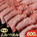 【ふるさと納税】【宮崎牛】 三角 バラ 焼肉 600g [SHINGAKI 宮崎県 美郷町 31ag0070] 牛肉 BBQ バーベキュー トロ ばら 大トロ カルビ 真空 冷凍 内閣総理大臣賞受賞 宮崎県産 送料無料 希少部位 特上