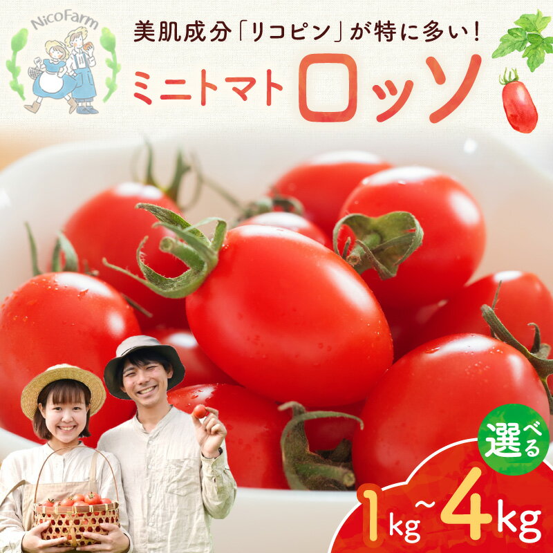 【ふるさと納税】【先行予約：2026年7月下旬頃より発送】【容量が選べる！】NicoFarm Nicoロッソ（ミニトマト） 甘いトマト 果肉多め ジューシー 縦長形状 ヘタなし 食べやすい パクパク食べられる 北海道産 トマト農家 こだわり栽培 フルーツ感覚 北海道 余市町 送料無料