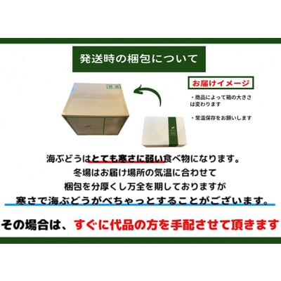 ふるさと納税 糸満市 朝採れ!しゃきしゃき海ぶどう(茎付き)400g |  | 03