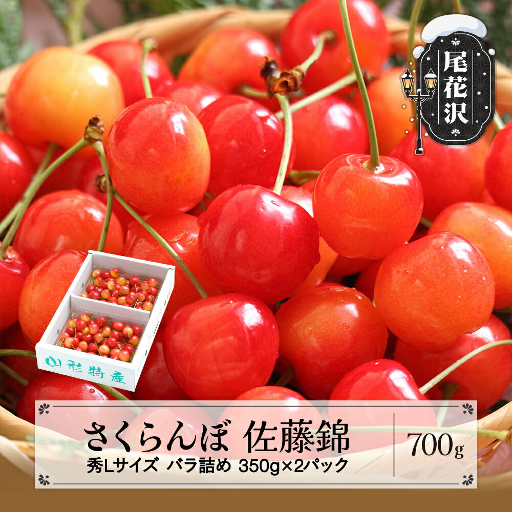 先行予約 さくらんぼ 佐藤錦 秀Lサイズ プレゼント ギフト バラ詰め 700g(350g×2パック) 2025年産 令和7年産 山形県産 送料無料 サクランボ※沖縄・離島への配送不可