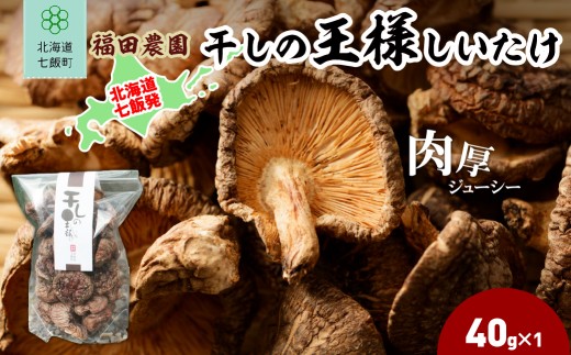 干しの王様しいたけ 40g×1袋 【 ふるさと納税 人気 おすすめ ランキング しいたけ 王様 王様しいたけ 干しの王様しいたけ シイタケ 椎茸 北海道 七飯町 送料無料 】 NAT007