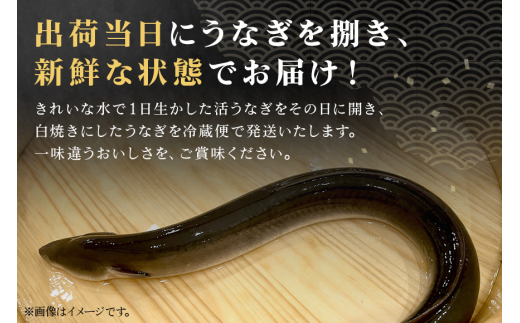 増田川魚店うなぎ白焼＜特上5本＞ うなぎ 白焼き 特上 5本 愛知県三河産 国産 ウナギ 鰻 しらやき タレ 山椒付き 炭火焼き 冷蔵便 贈答用 ギフト 家庭用 土用の丑 茨城県 潮来市 (A07-0