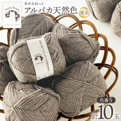 ふるさと納税 江南市 あみもねっと アルパカ天然色並太 5番色 10玉セット