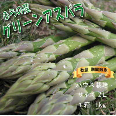 
            ＜数量・期間＞ふらの産　グリーン アスパラ　ハウス栽培　1kgサイズ2L【1470143】
          