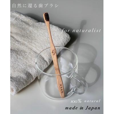 ふるさと納税 東大阪市 自然に還る歯ブラシ 「 t u r a l i s t 」 歯ブラシスタンドセット(毛の硬さ:普通) |  | 01