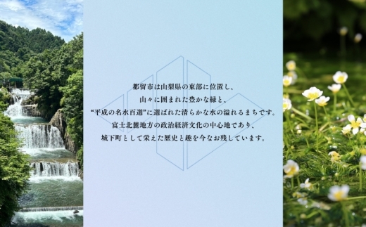 幸せを運ぶ　都留のはちみつチューブタイプ（ケンポナシ、ミズキ、クリ）300ｇ【みのる養蜂園】｜無添加 非加熱 100%純粋ハチミツ はちみつ